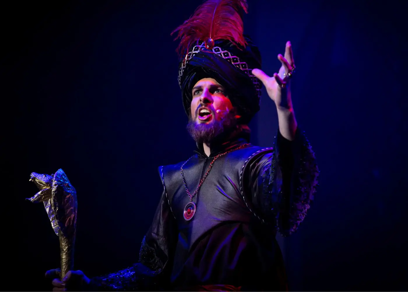 Successful OAK Youth Theatre alumni